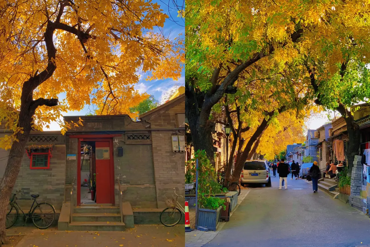 Khu Hutong cổ Bắc Kinh mùa thu