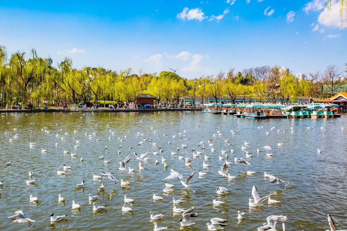 Hồ Côn Minh bức tranh sơn thủy giữa lòng hoàng gia