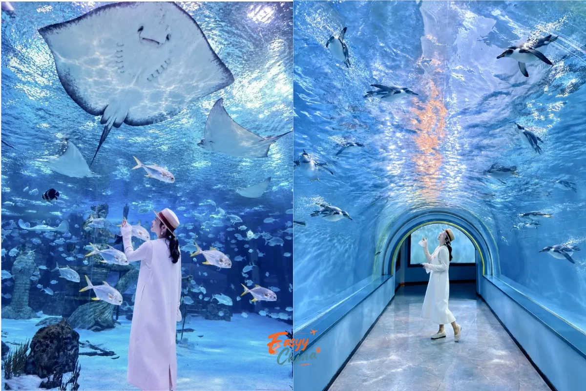 Khám phá Harbin Polarland du lịch Cáp Nhĩ Tân