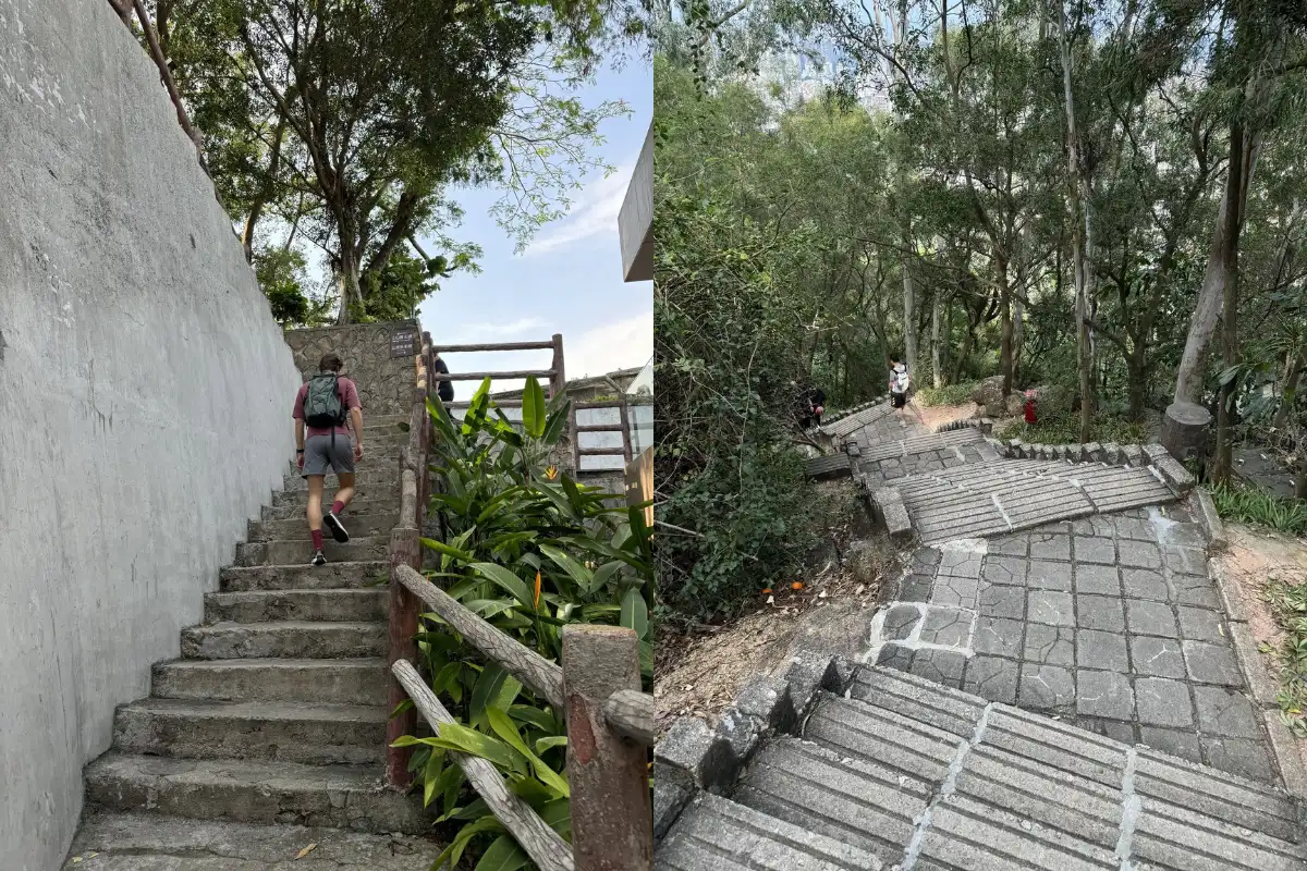 Núi Nanshan du lịch Thâm Quyến có gì