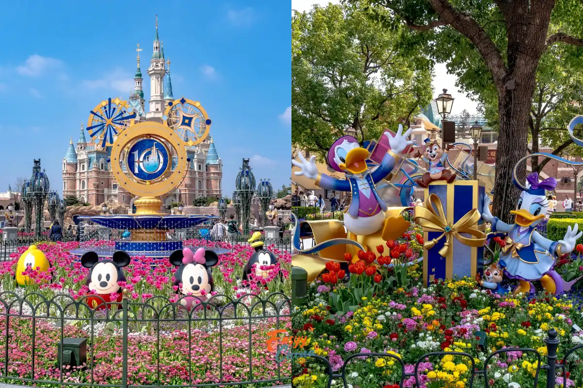 Thượng Hải Disneyland