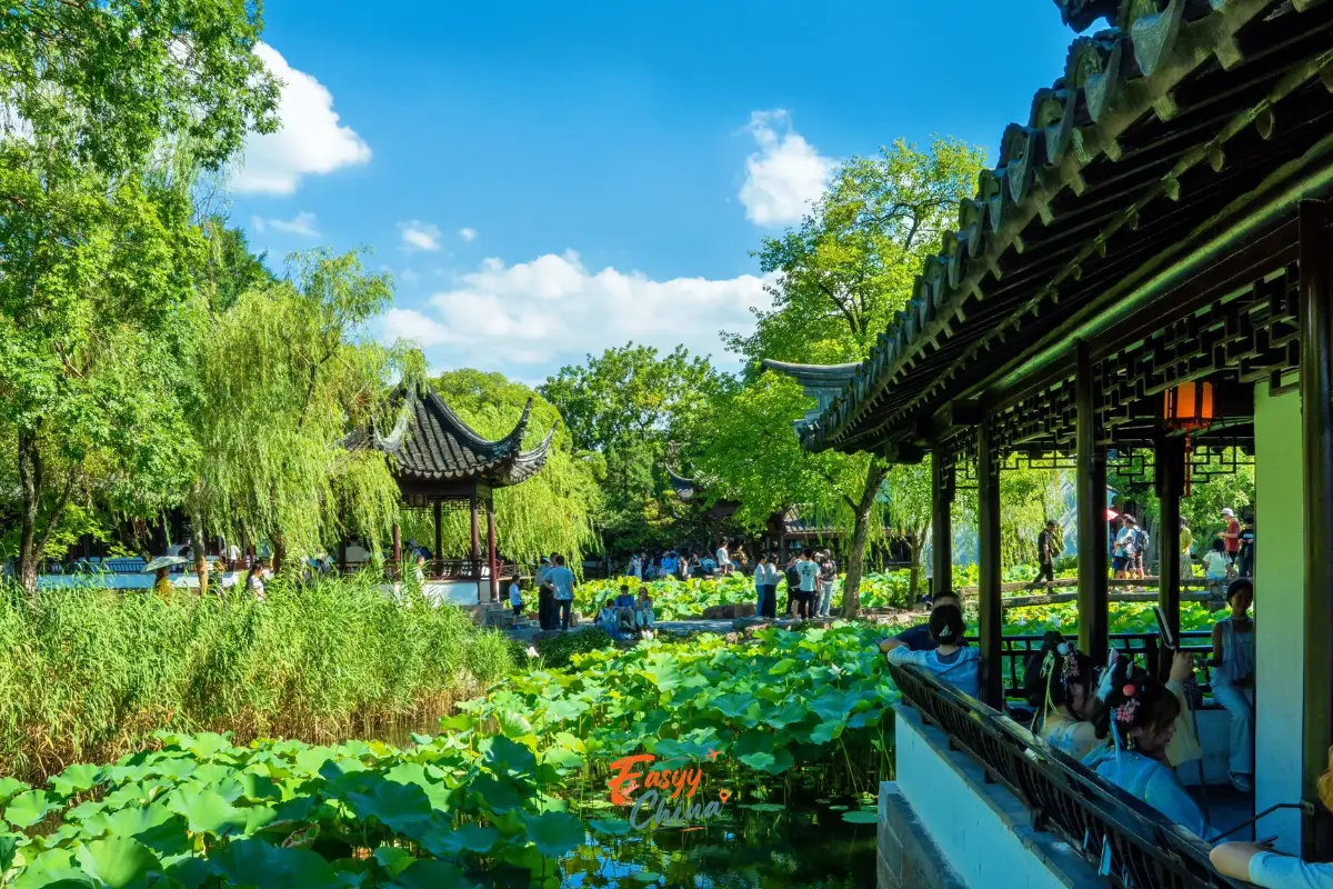 Chuyết Chính Viên khi du lịch Tô Châu