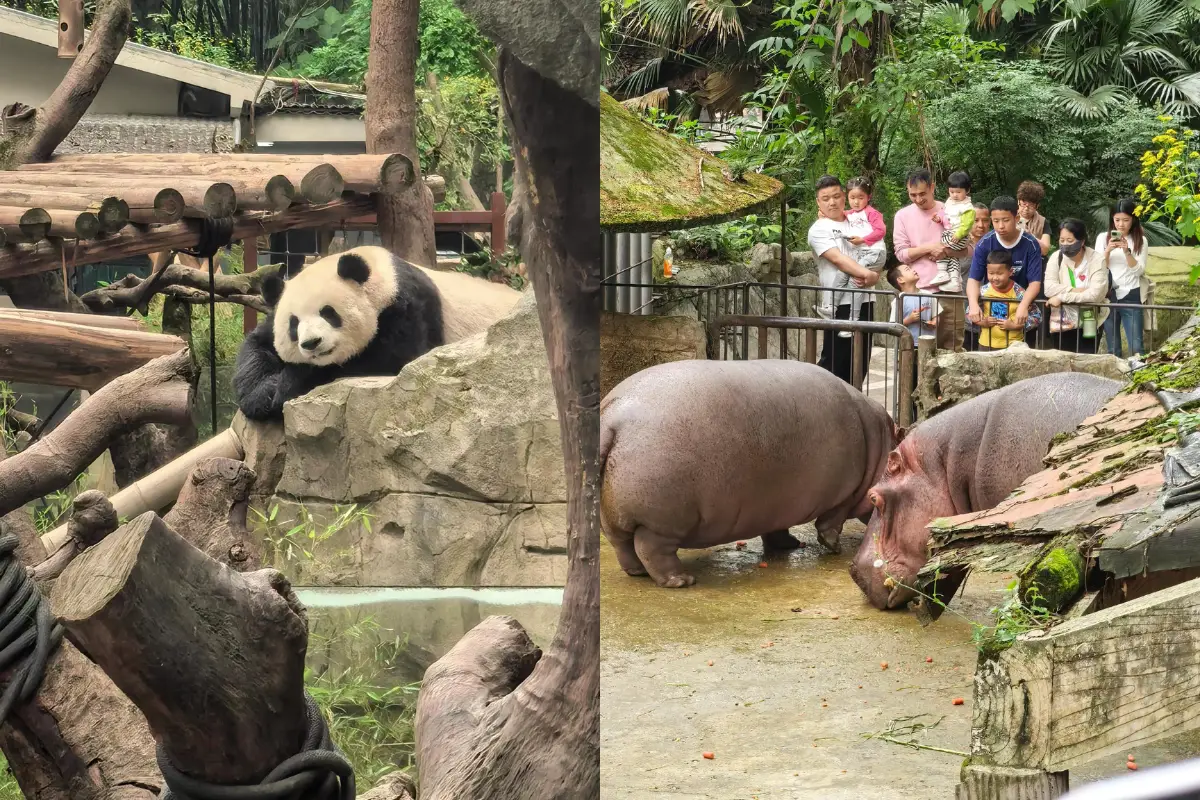 Sở thú Trùng Khánh
