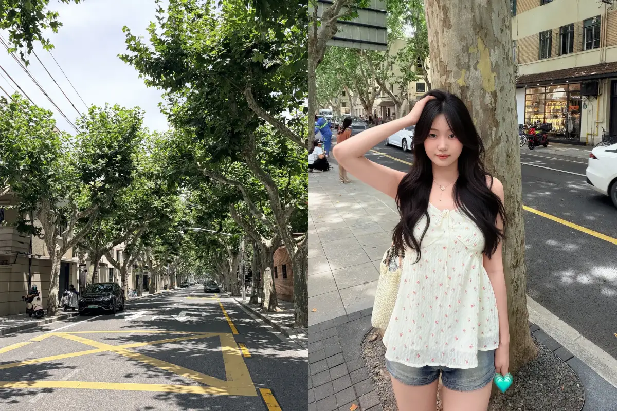Check-in hàng cây và những mặt tiền biệt thự cổ