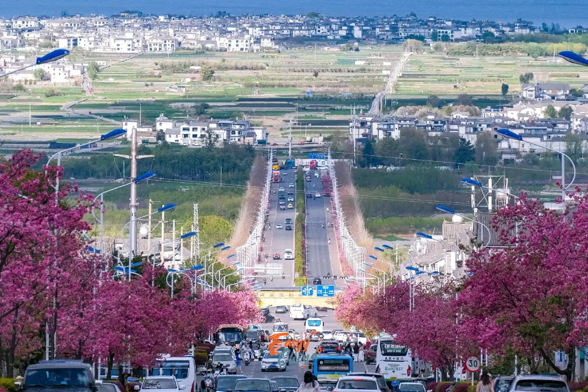 Kinh nghiệm du lịch Đại Lý tự túc cần biết