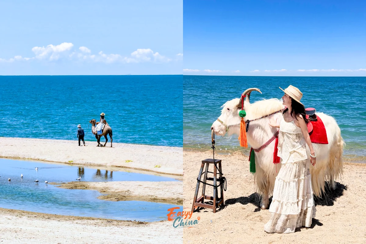 Hồ Thanh Hải địa điểm không nên bỏ lỡ khi du lịch Thanh Hải