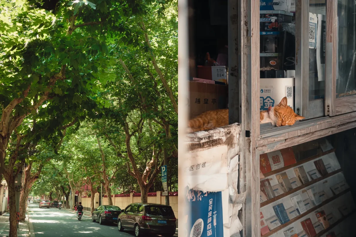 Giới trẻ yêu thích phố Anfu Road Thượng Hải
