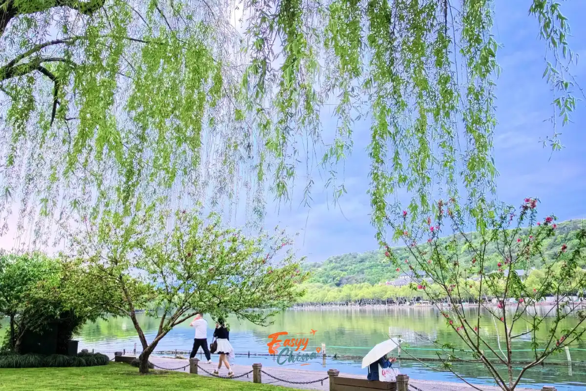 Tô Đê và Bạch Đê Tây Hồ