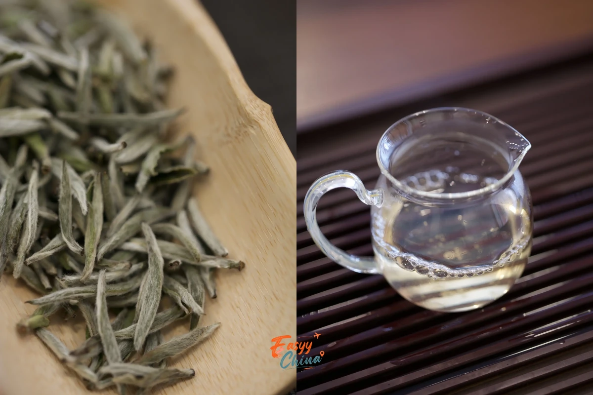 Bạch trà nổi tiếng trong văn hóa trà đạo Trung Quốc
