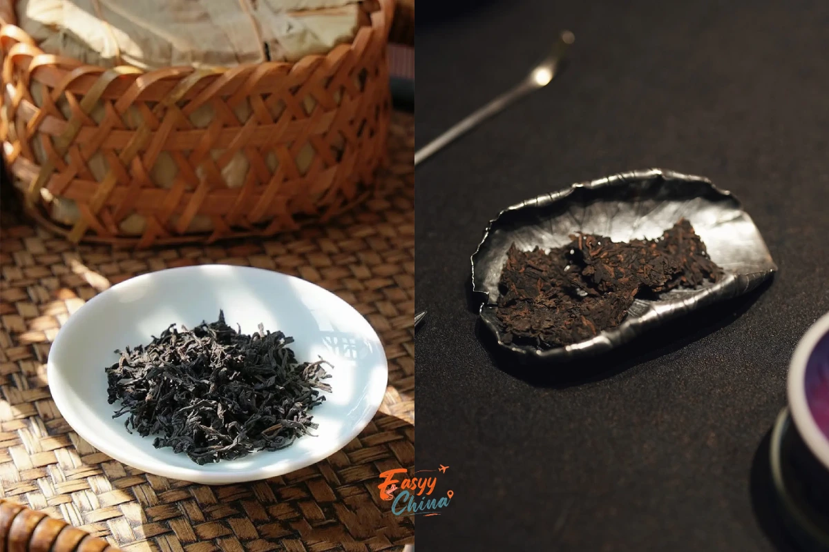 Hắc trà và tà Phổ Nhĩ nổi tiếng trong văn hóa trà đạo Trung Quốc