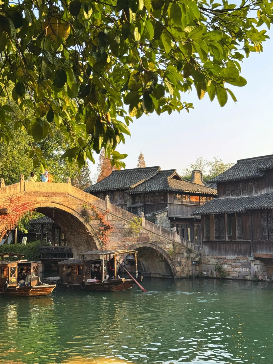 Giang Nam nhuộm vàng mùa thu