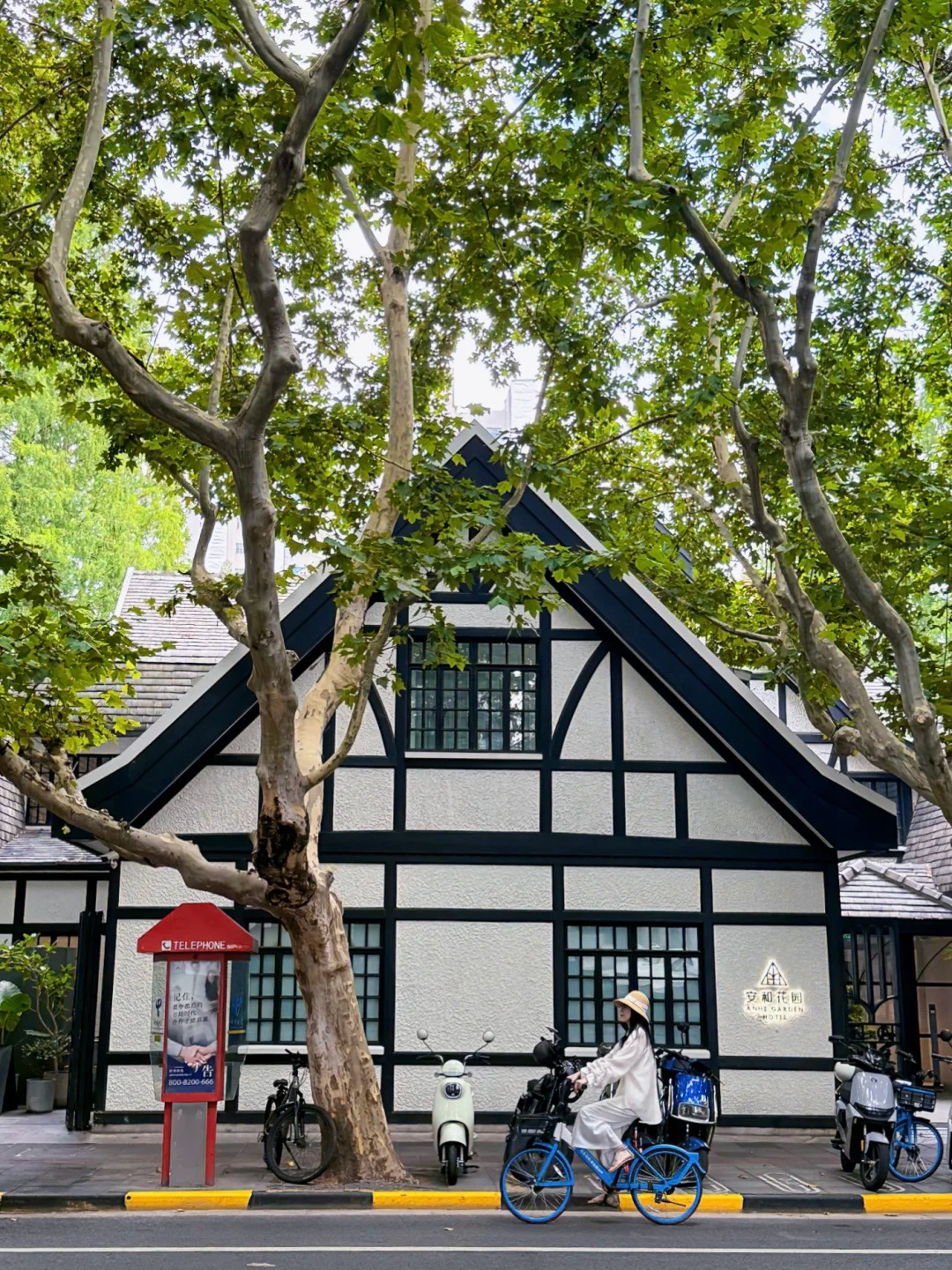 Vũ Khang đi giữa một Thượng Hải rất thơ